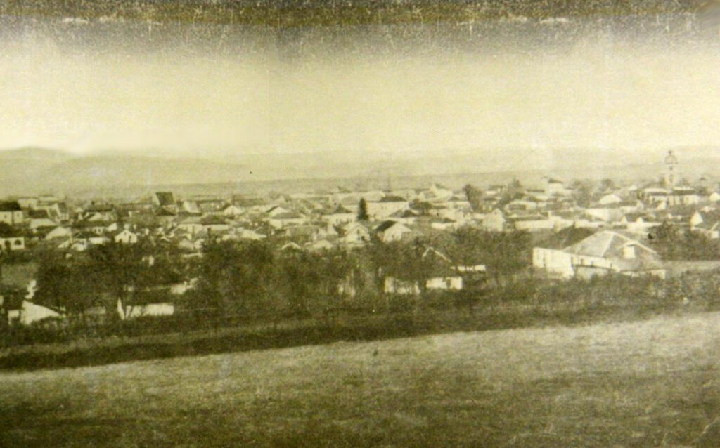 Panorama Kruševca - 1916. godina
